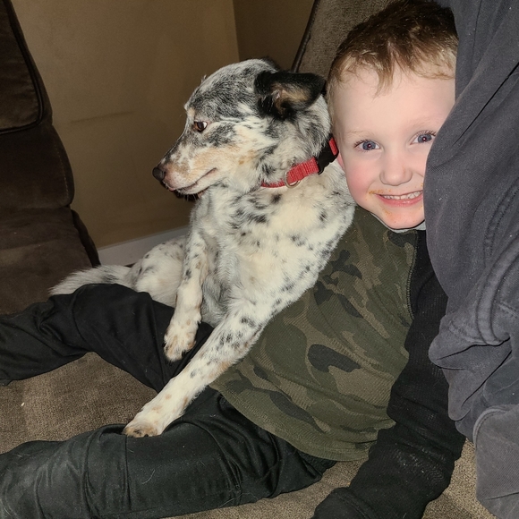 Meet your Posher, Elizabeth - Picture 8 of 10